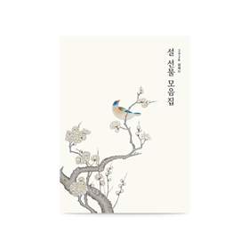 2026 암웨이 설 선물 모음집