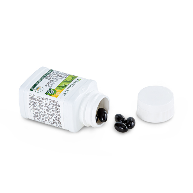 징코 엠 (60캡슐, 30일분)