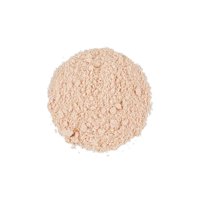 단백질엔자임 프로모션