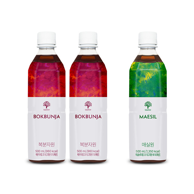 원포원 봄 미각 프로모션 - 라임트리​